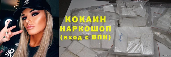 индика Абинск