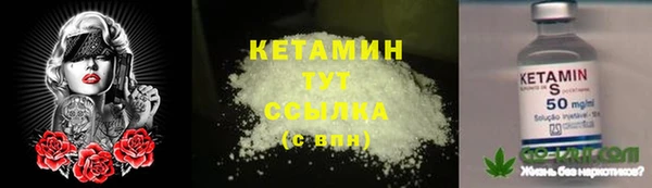 гидра Абаза