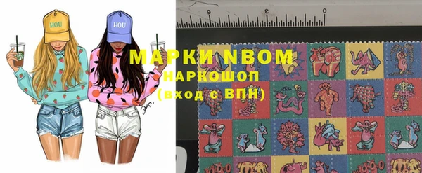 индика Абинск