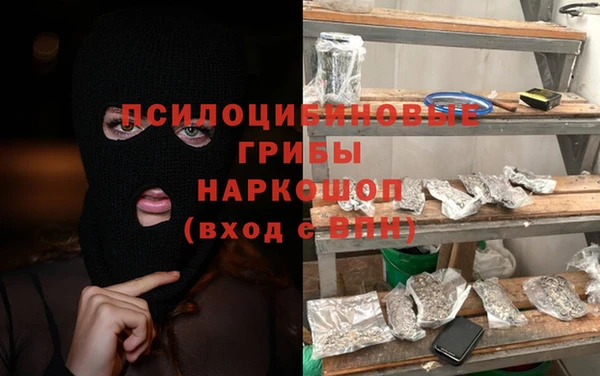 гидра Алексеевка
