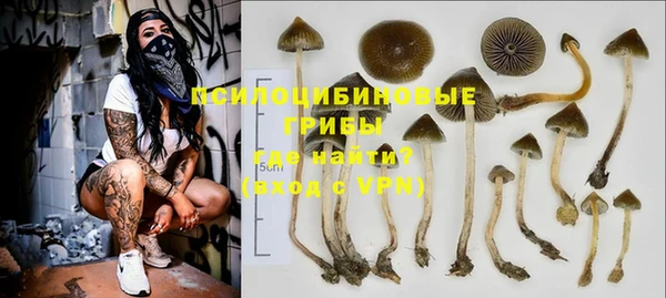 индика Абинск