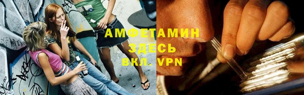гидра Алексеевка