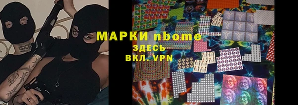 гидра Абаза